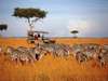 Saruni Mara - endless savannah on a game drive